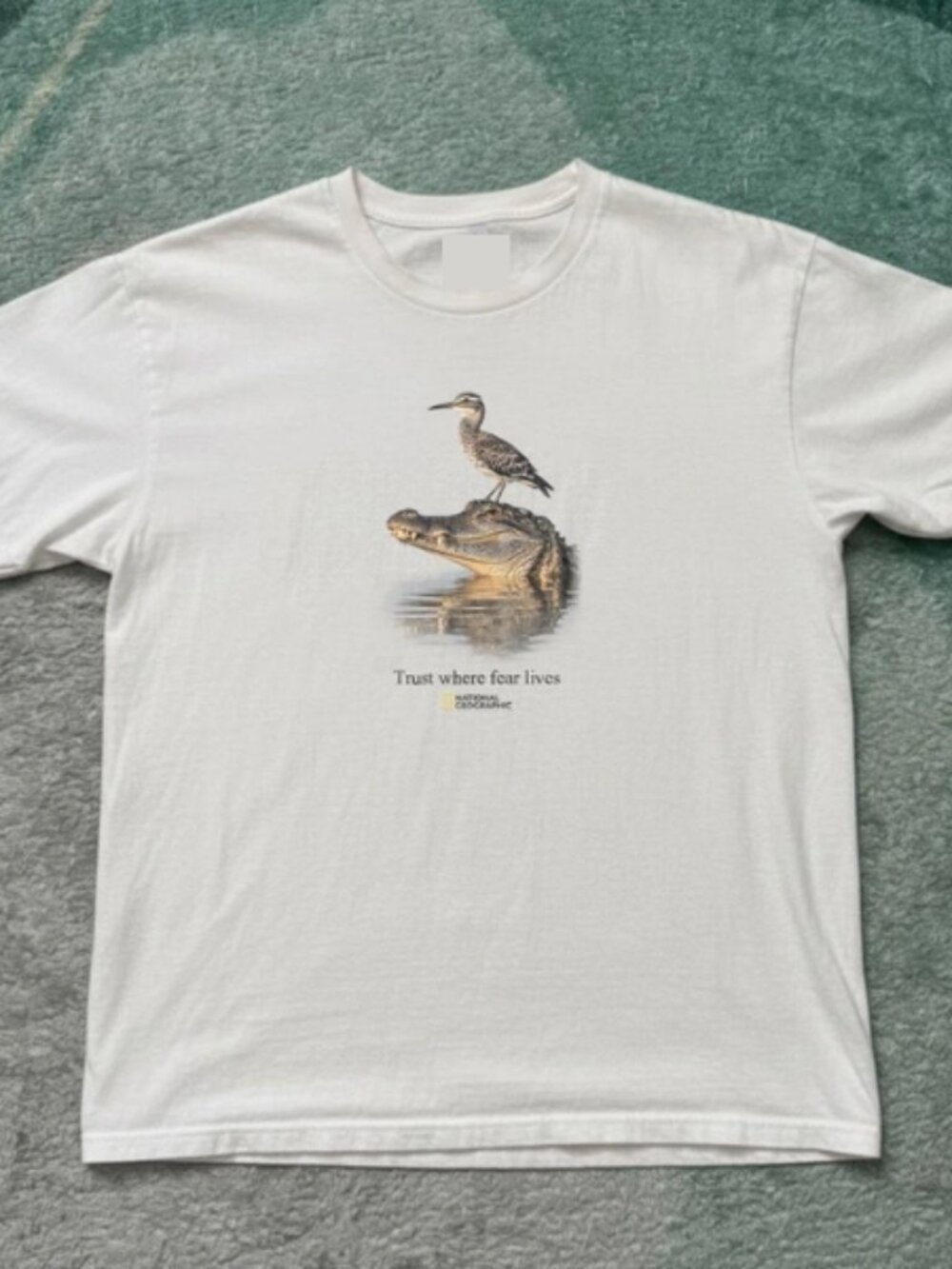 National Geographic Graphic T-Shirt